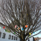 Gebetsbaum - Bild: Sabine Kordes